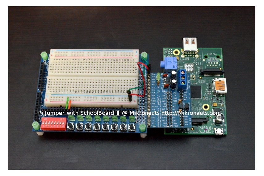 Pi Jumper for Raspberry Pi from mikronauts on Tindie